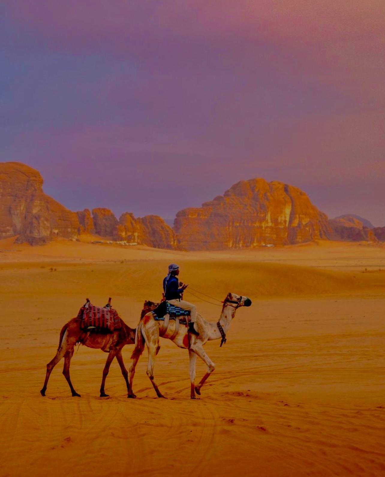 Hidden Wadi Rum Camp Extérieur photo