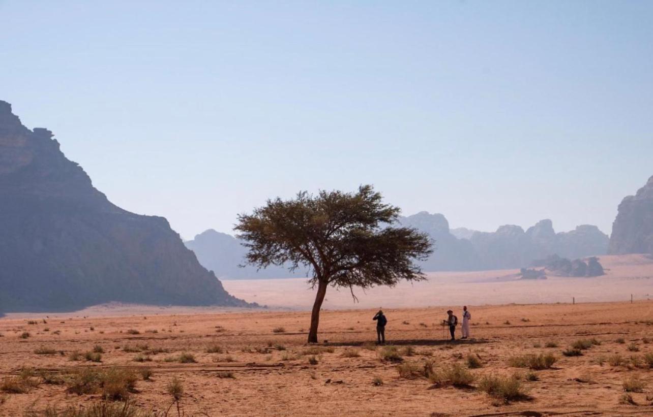 Hidden Wadi Rum Camp Extérieur photo